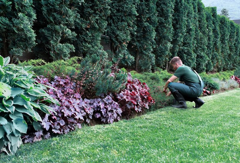 Diamond H Irrigation crew inspecting a residential landscape bed